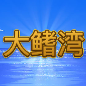 图片加载中..