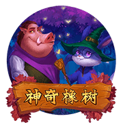 图片加载中..