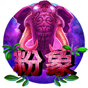 图片加载中..